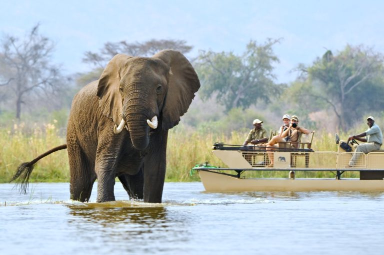 Chiawa-Camp-Zambezi-River-cruise-768x511.jpg
