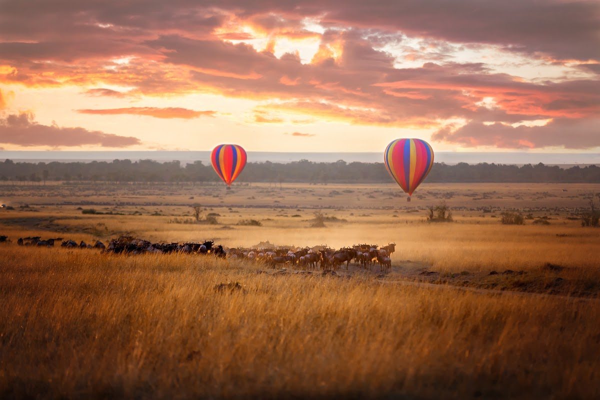 great-migration-hot-air-balloon.jpeg