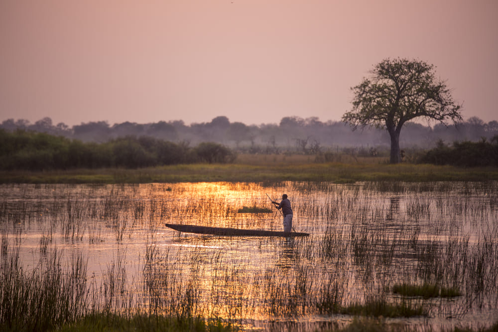 mokoro-ride-vumbura-Plains-Okavango-Delta.jpg