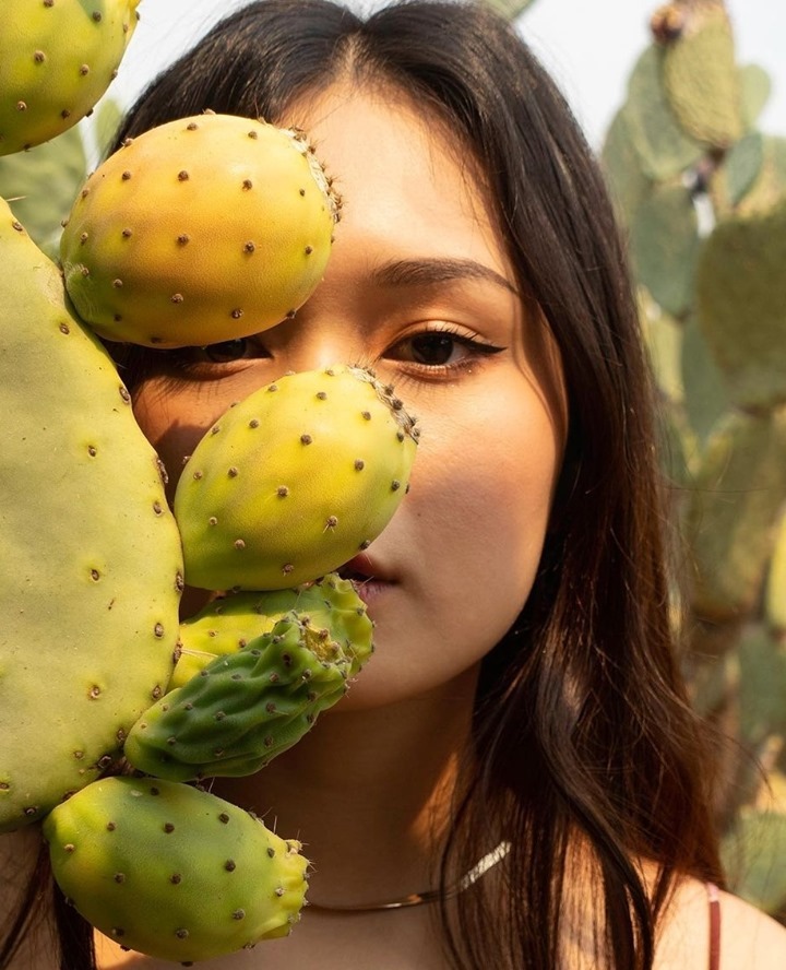 4-o2a-image-@babylonstoren-@charmaineeesiu-cactus-garden.jpg