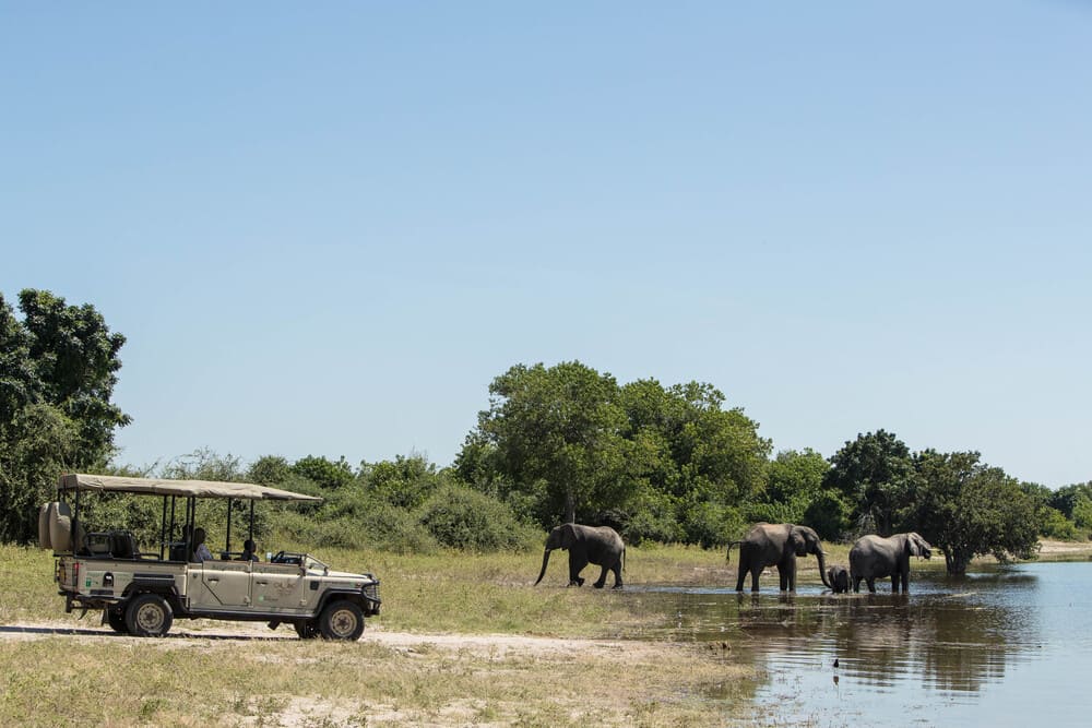 chobe-game-lodge-drive-1.jpg