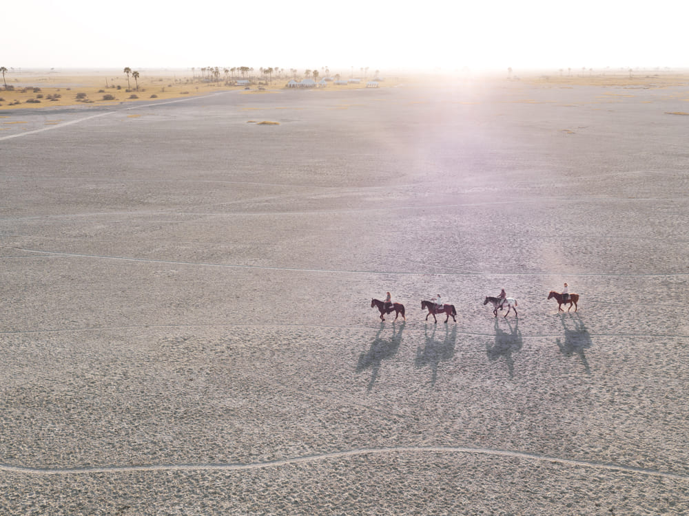 horseback-riding-botswana.jpg