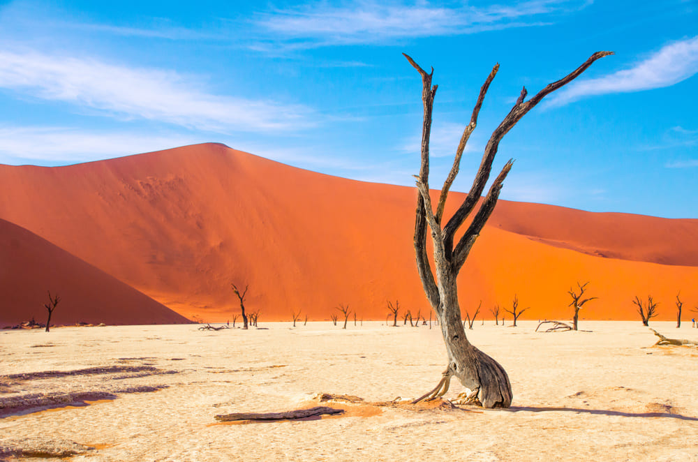 sossusvlei-deadvlei.jpeg