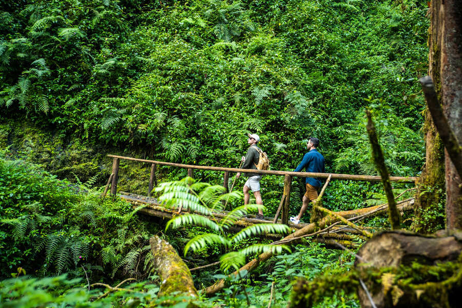 gorilla-trekking-rwanda.jpeg