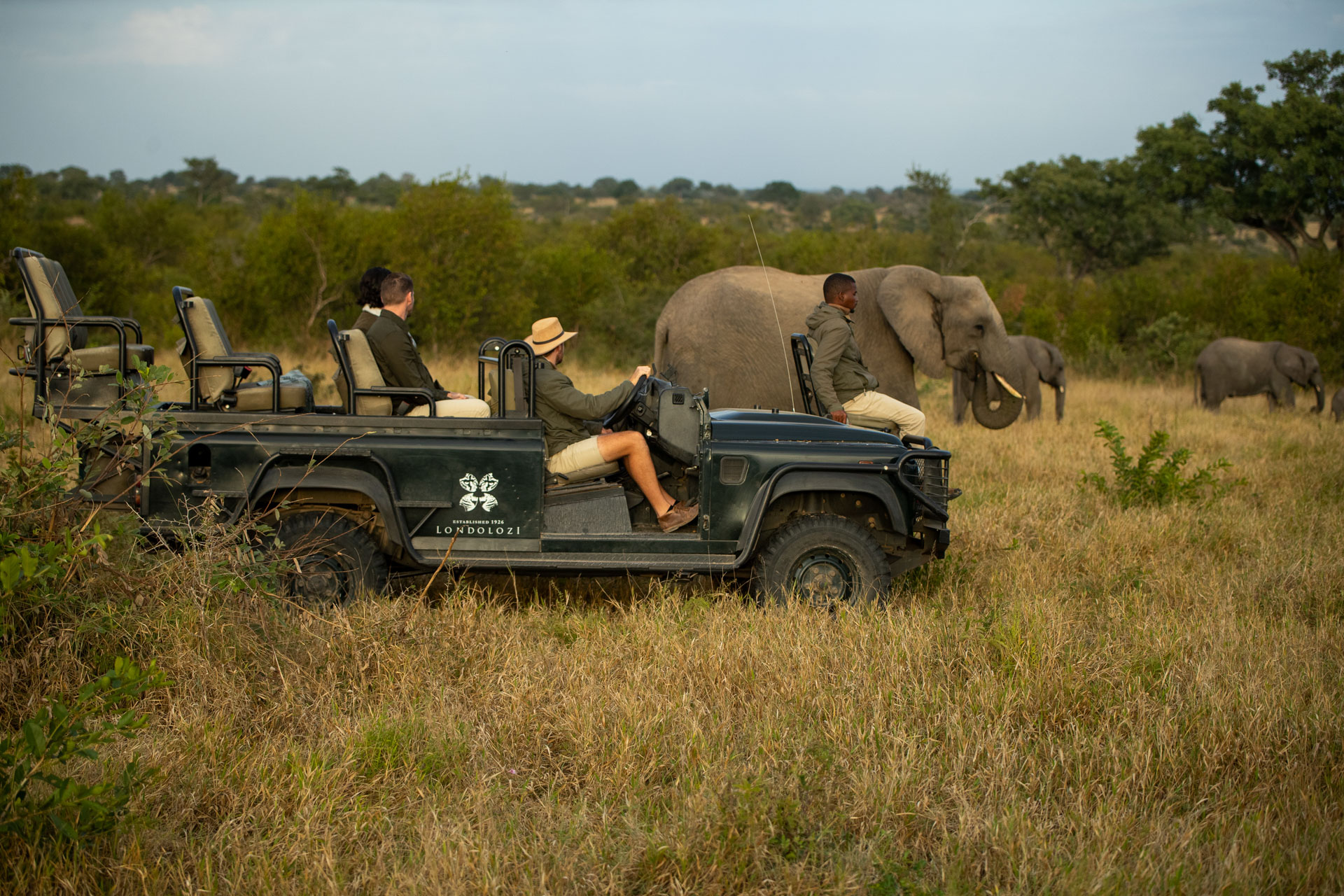 Africa Up Close by Rhino Africa at Londolozi.jpeg