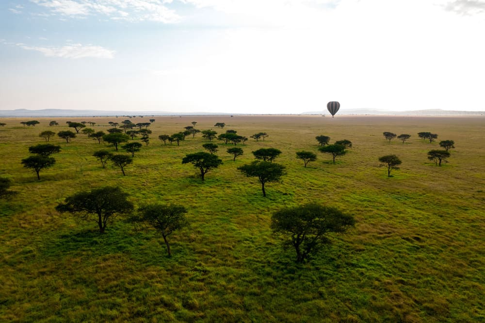 singita-sabora-hot-air-balloon.jpeg