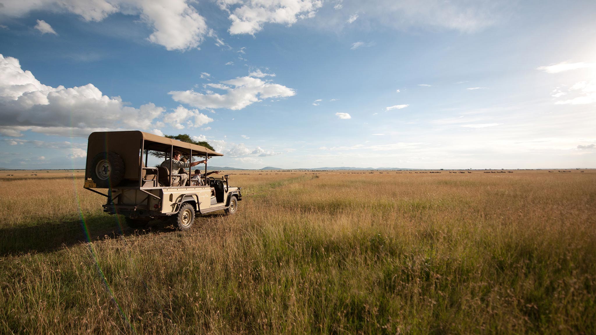 07-singita-faru-faru-lodge-activities-game-drive.jpg