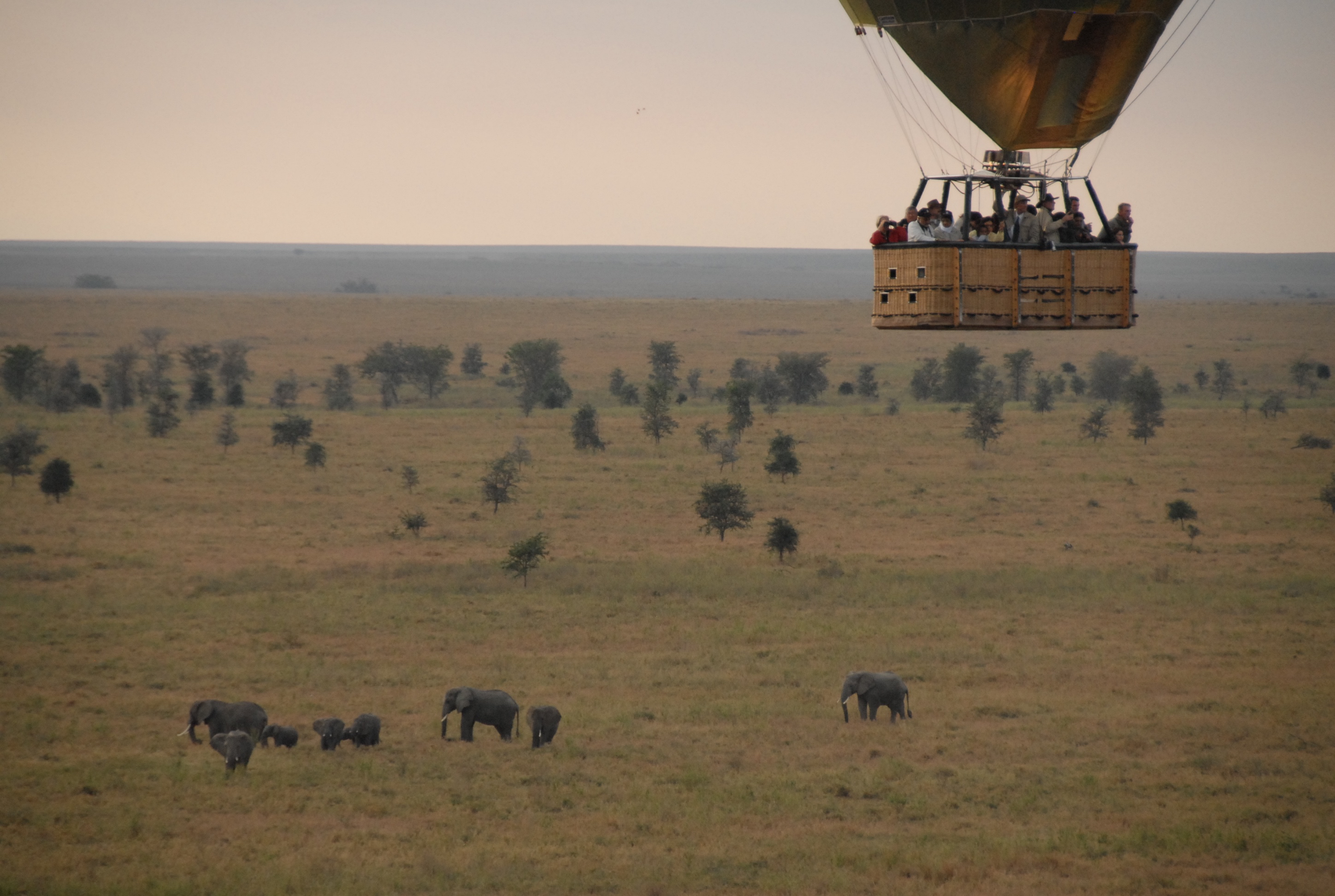 legendary-serengeti-camp-activities-hot-air-balloon-03.jpg