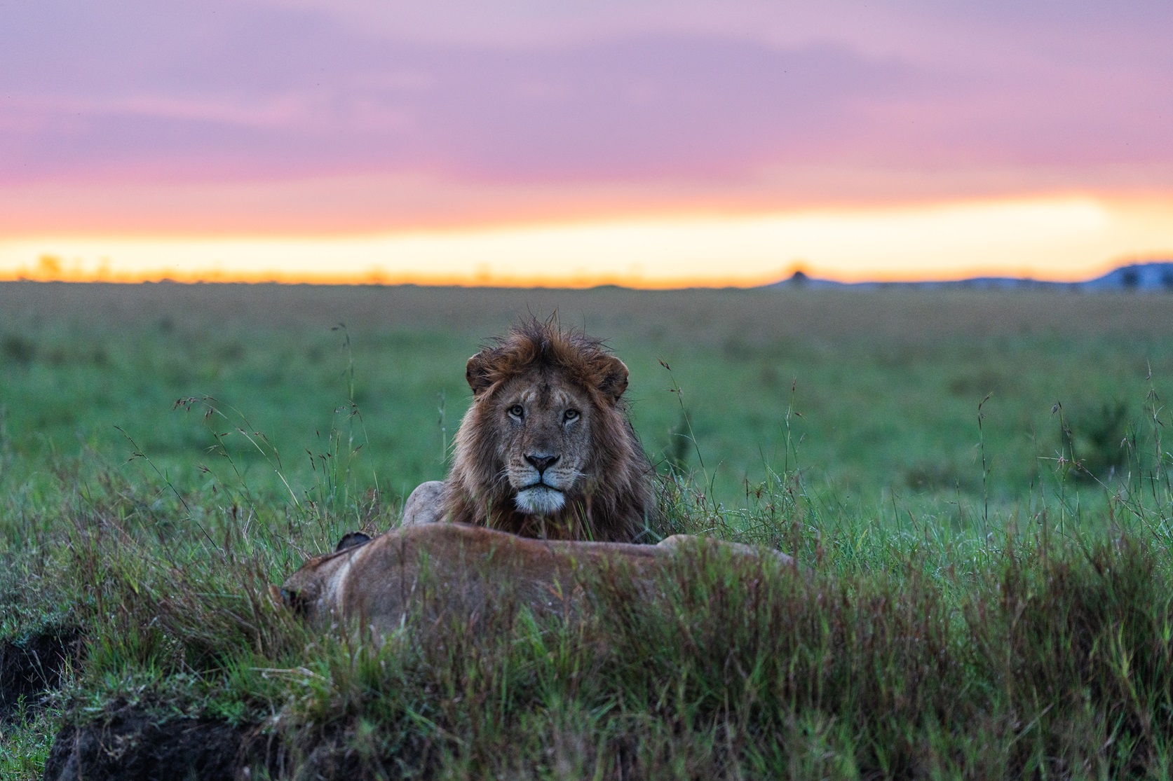 rhino-africa-at-singita-mara-river-tented-camp-copyrights-felix-studios-0274-1.jpg