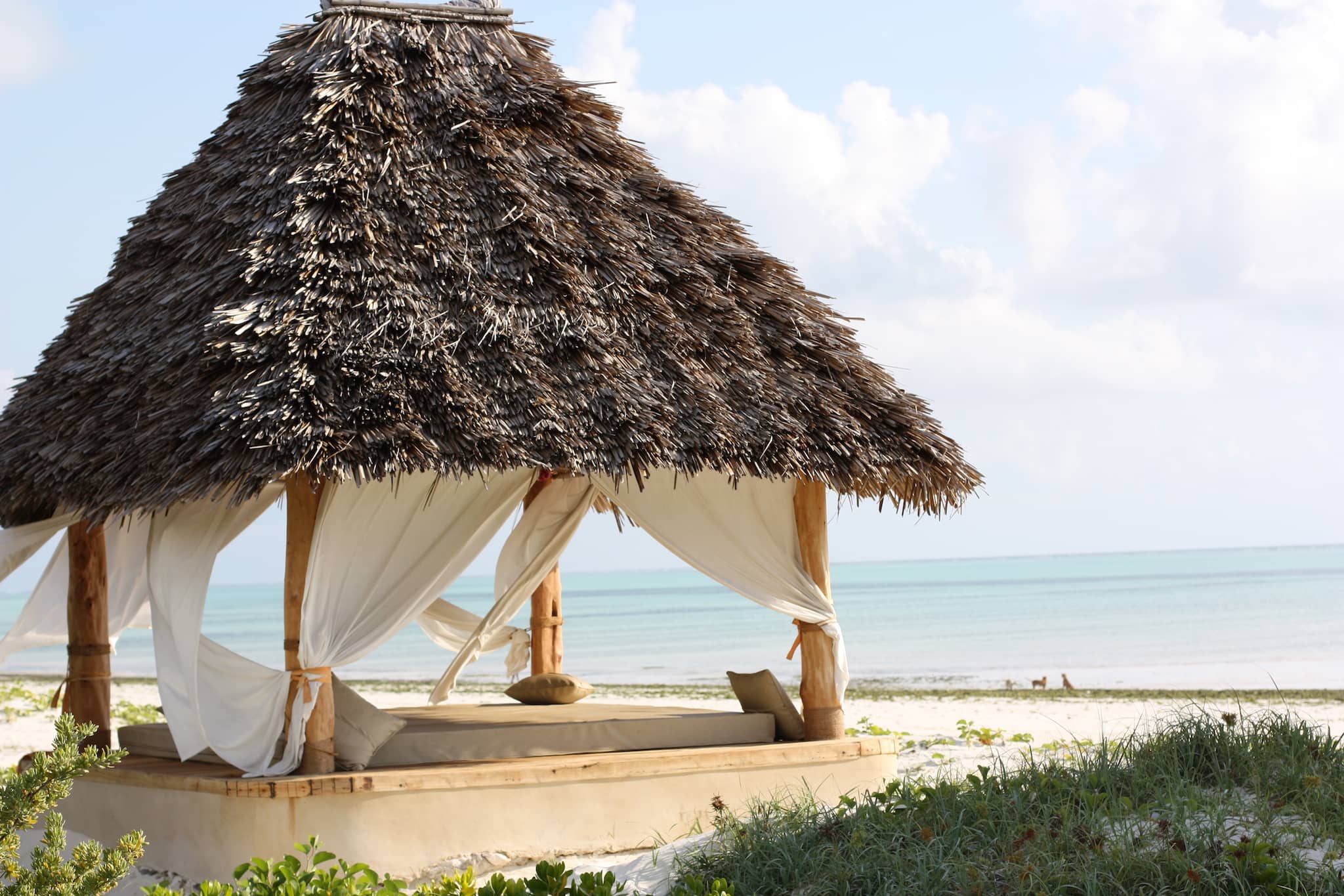 zanzibar-white-sand-luxury-villas-spa-exteriors-beach-01.jpg