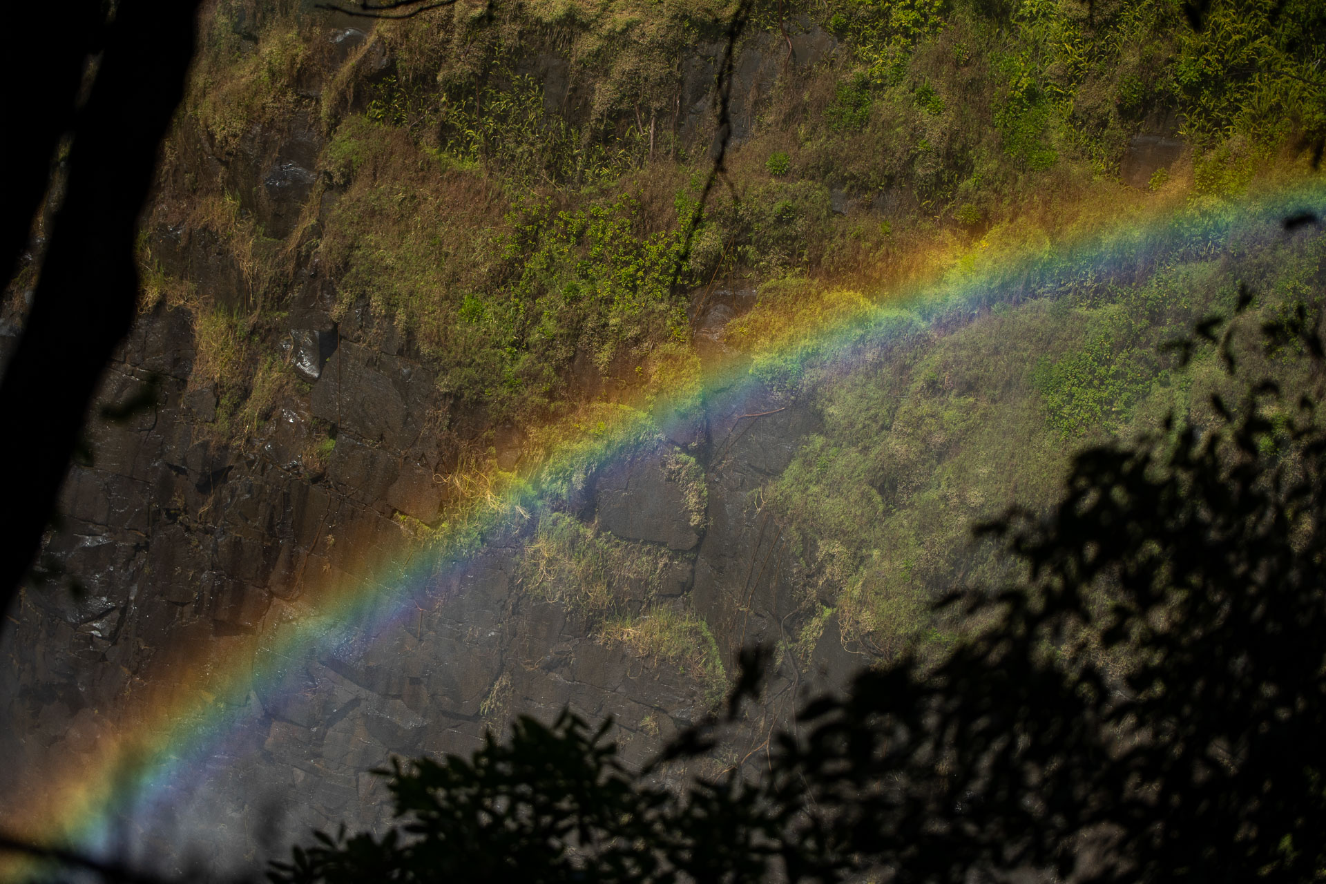 africa-up-close-by-rhino-africa-victoria-falls-island-lodge-146.jpeg