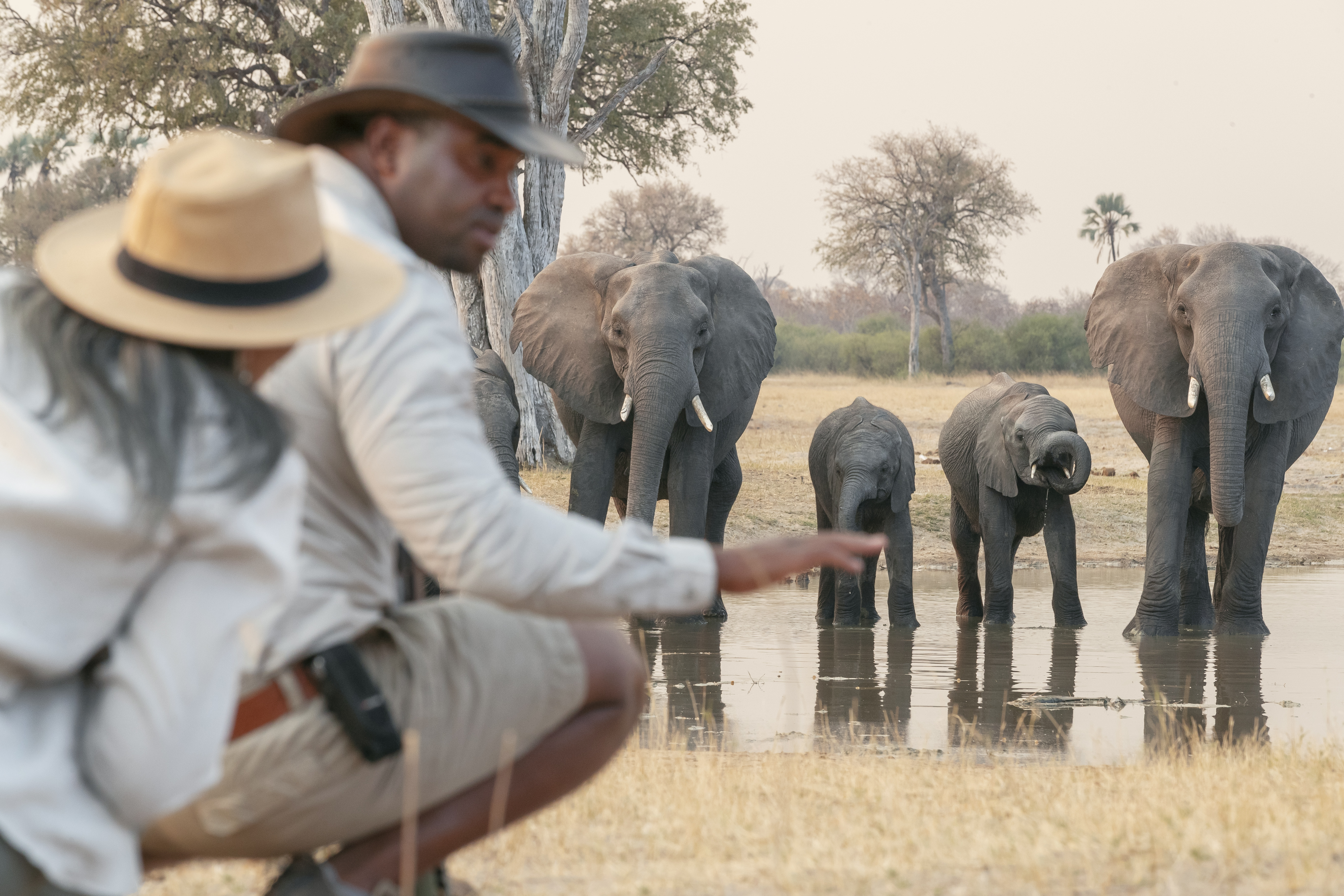 wilderness-linkwasha-activities-walking-safari-wildlife-elephants.jpg