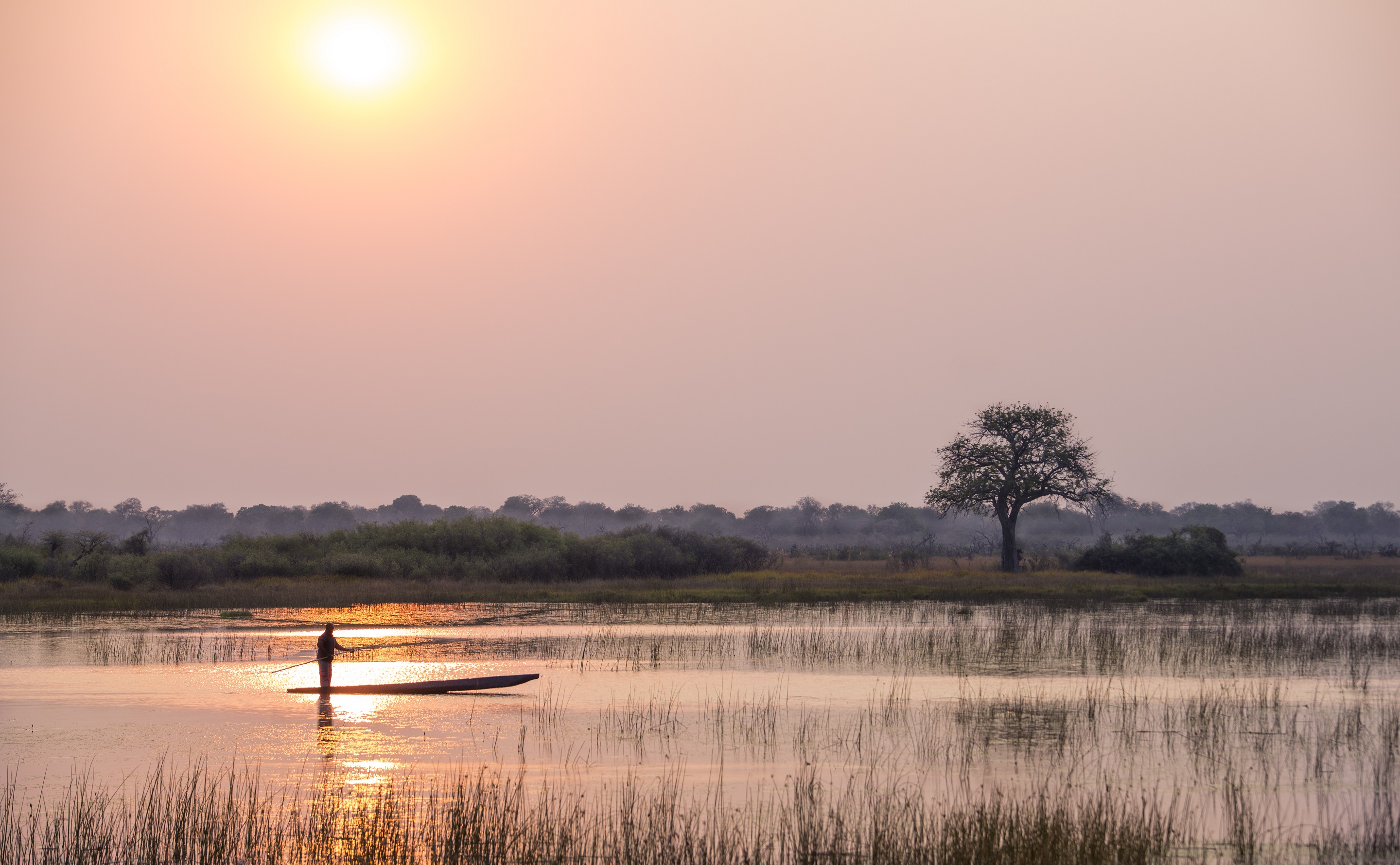 Copy of mokoro-ride-Okavango-Delta-Vumbura-Plains-01.jpg