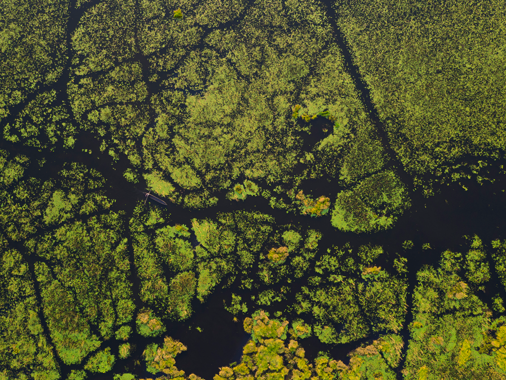 mokoro-ride-drone-vumbura-plains-okavango-delta-botswana-0064-1.png