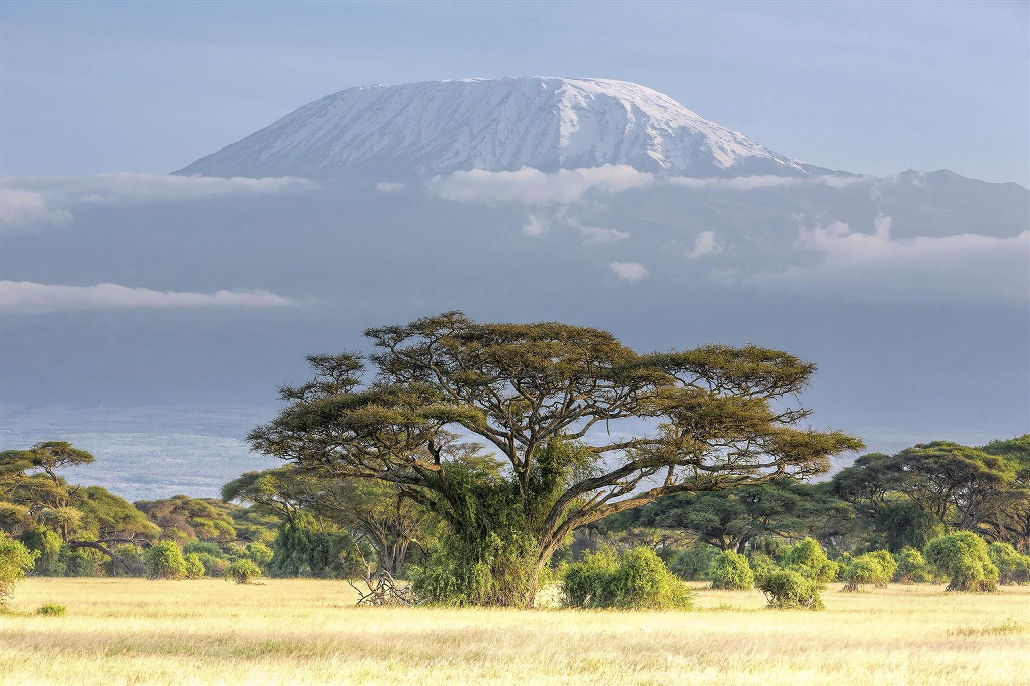 mt-kilimanjaro-landscape-tanzania-1.jpg